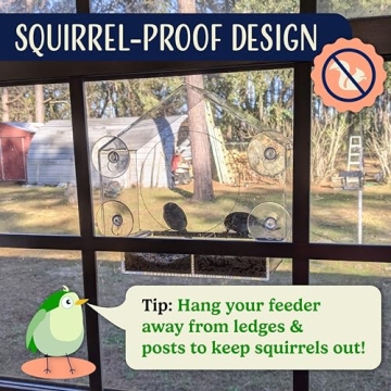 Clear Window Bird Feeder for Bird Lovers and Families