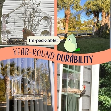 Clear Window Bird Feeder for Bird Lovers and Families