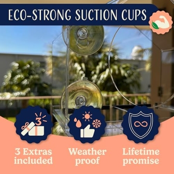 Clear Window Bird Feeder for Bird Lovers and Families