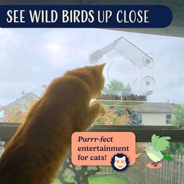 Clear Window Bird Feeder for Bird Lovers and Families
