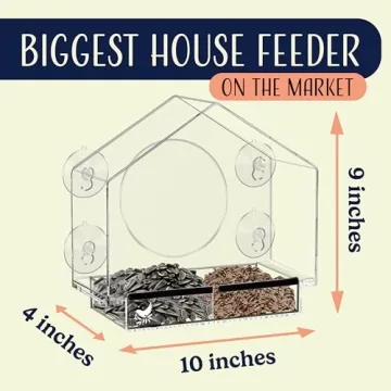 Clear Window Bird Feeder for Bird Lovers and Families