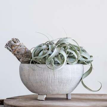 Small Distressed Cream Footed Terracotta Planter with Fluted Texture