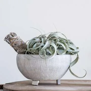 Small Distressed Cream Terracotta Planter for Home Decor