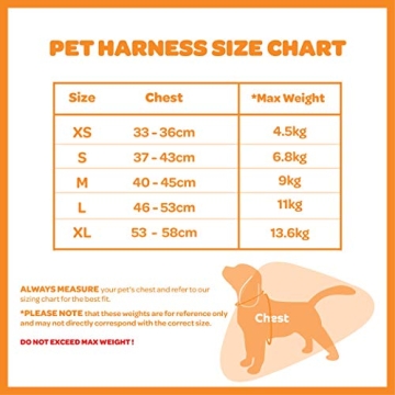 Voyager Step-In Air Dog Harness - All Weather Mesh, Reflective, No Pull Harness for Small, Medium Dogs, Cats - Secure with Hook & Loop Fastener, Buckle, Double D-Rings - Blue/Black Trim, M