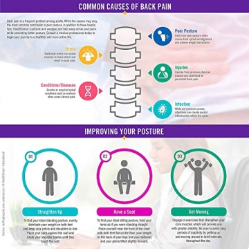 Relieve Pain with DMI Donut Seat Cushion