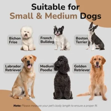 dCee Dog Sofa Bed - Stylish Comfort for Medium Dogs