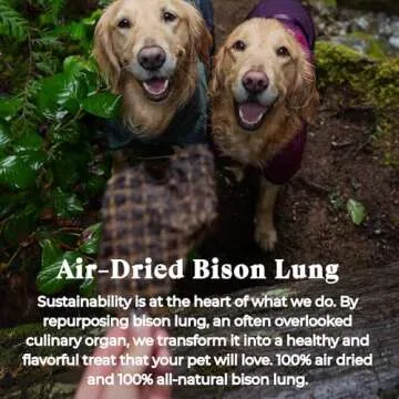 OTIS Bison Lung Filets for Dogs | Protein Packed, Pasture-Raised, Grass-Fed Bison Dog Treats Healthy Dog Treats - Wild Things | 4 Ounce Bag