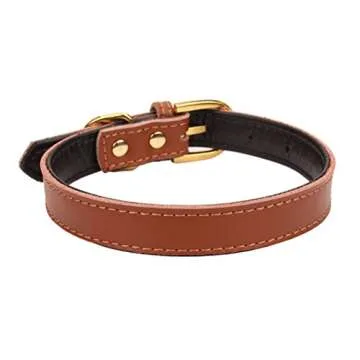 Aolove Classic Padded Leather Pet Collars for Dogs