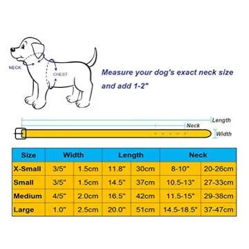 Aolove Classic Padded Leather Pet Collars for Dogs