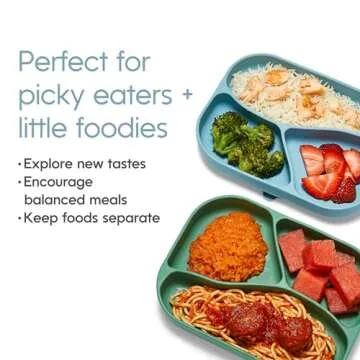 NumNum Silicone Toddler Suction Plates – 100% Food Grade Divided Baby Plates, Non-Toxic, BPA-Free, Dishwasher Safe – Non-Slip Kids Plates for High Chair & Dining Table, 2 Pack (Green)