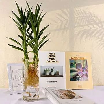 HWASHIN 3 Clear Glass Cylinder Vases Set - 4" W x 10" H