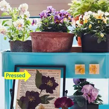 Big Dried Flowers for Resin Mold Crafting Passion