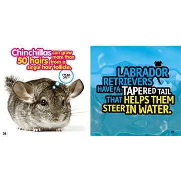 Weird But True! Animals