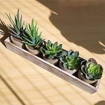 Supla Set of 5 Mini Fake Succulent Cactus Aloe Potted Plant Arrangements Decorative Assorted Potted Artificial Succulents Plants in Gray Pots Succulent Plants Wood Planter Arrangement