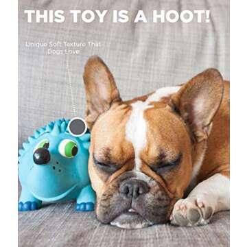 Outward Hound Tootiez Bear Grunting Latex Rubber Dog Toy, Small