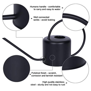 Remiawy Stainless Steel Watering Can for Indoor Plants