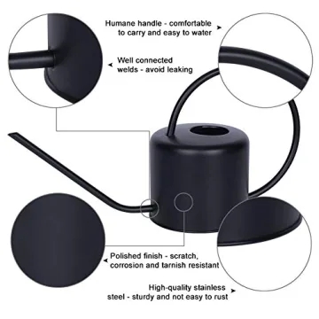 Remiawy Stainless Steel Watering Can for Indoor Plants