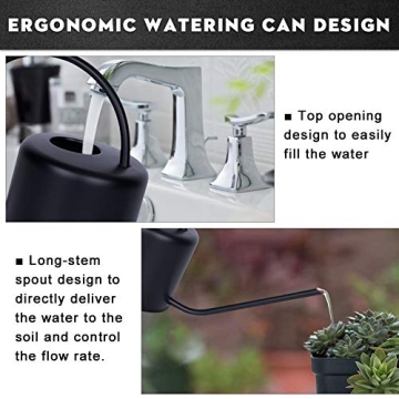 Remiawy Stainless Steel Watering Can for Indoor Plants