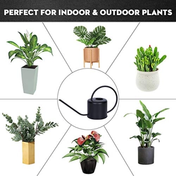 Remiawy Stainless Steel Watering Can for Indoor Plants