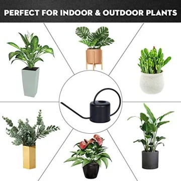 Remiawy Stainless Steel Watering Can for Indoor Plants