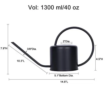 Remiawy Stainless Steel Watering Can for Indoor Plants