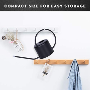 Remiawy Stainless Steel Watering Can for Indoor Plants