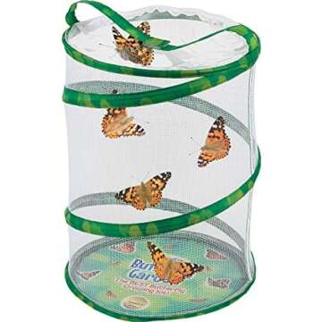 Insect Lore Butterfly Garden with 10 Live Caterpillars