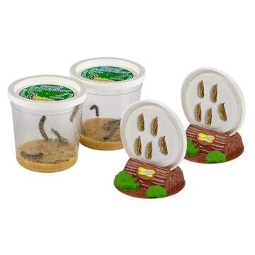Insect Lore Butterfly Garden with 10 Live Caterpillars