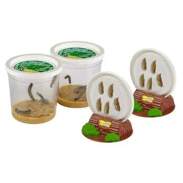 Insect Lore Butterfly Garden with 10 Live Caterpillars