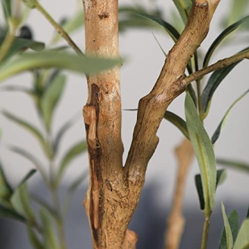 OAKRED 6FT Tall Faux Olive Tree for Indoor Home Decor