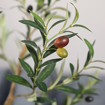 OAKRED 6FT Tall Faux Olive Tree for Indoor Home Decor