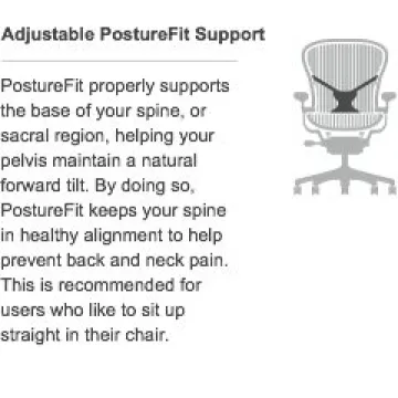 Herman Miller Aeron Chair Ergonomic Adjustable Vinyl Arms