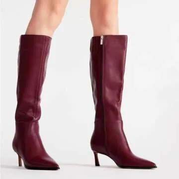 MICIFA Burgundy Kitten Heel Knee High Boots for Women Tall Leather Boots Stiletto Pointed Toe Gogo T...