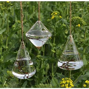Fashionstorm Glass Hanging Planters Indoor Outdoor Plant Pots Water Plant Containers Flower Pots Glass Terrariums Wall Vases 3 Pieces
