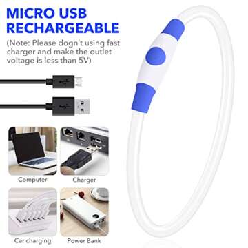 Light up Dog Collar, BSEEN USB Rechargeable Flash Dog Necklace Light, Pet Safety Collar Makes Your Beloved Dogs Be Seen at Night for Small Medium Large Dogs(Blue)