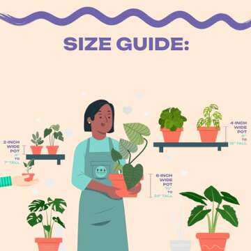 Calathea Fusion White | Stunning Live Plant in 4 Inch Pot - Air Purifier & Low Maintenance Indoor Ho...