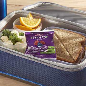 Fruity Snacks, Mixed Berry, Gluten Free, Fat Free, 32 Oz (Pack of 40)