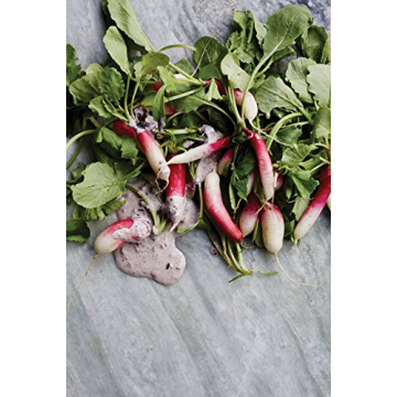 Gjelina Cookbook with Vibrant Recipes from California