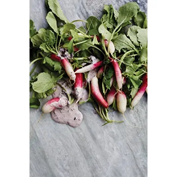 Gjelina Cookbook with Vibrant Recipes from California