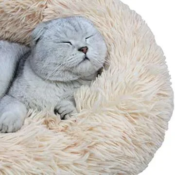 BODISEINT Modern Soft Plush Round Pet Bed for Cats or Small Dogs, Mini Medium Sized Dog Cat Bed Self Warming Autumn Winter Indoor Snooze Sleeping Cozy Kitty Teddy Kennel (24'' D x 8'' H, Champagne)
