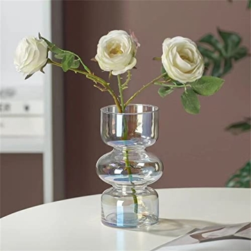 JSPYFITS Colored Glass Bubble Vase for Home Decor