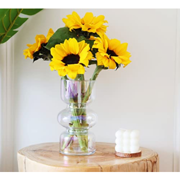 JSPYFITS Colored Glass Bubble Vase for Home Decor