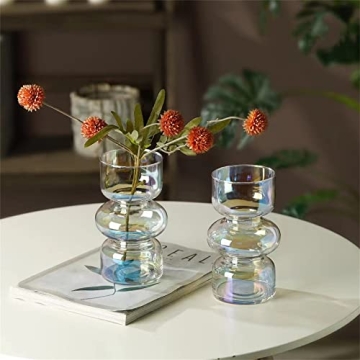 JSPYFITS Colored Glass Bubble Vase for Home Decor