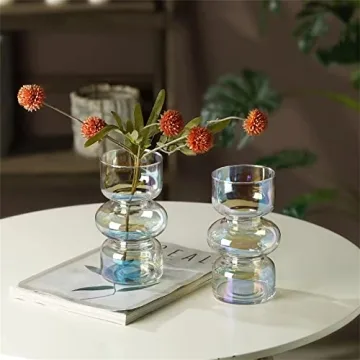 JSPYFITS Colored Glass Bubble Vase for Home Decor