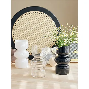 JSPYFITS Colored Glass Bubble Vase for Home Decor