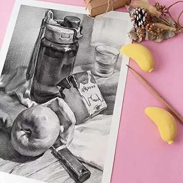 29 Pieces Professional Sketching & Drawing Art Tool Kit With Graphite Pencils, Charcoal Pencils, Paper Erasable Pen, Craft Knife-Lightwish (without Sketchbook, with Canvas Rolling Pouch）…