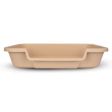 KittyGoHere Senior Cat Litter Box 1 Pack, Large Beach Sand Low Entrance Kitty Litter Box, Sized for Cats Comfort, Perfect for Senior and Arthritic Cats, Made in USA