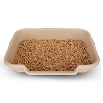 KittyGoHere Senior Cat Litter Box 1 Pack, Large Beach Sand Low Entrance Kitty Litter Box, Sized for Cats Comfort, Perfect for Senior and Arthritic Cats, Made in USA