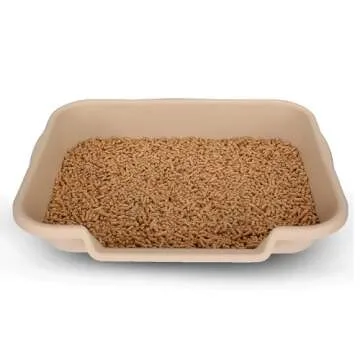 KittyGoHere Senior Cat Litter Box for Easy Access Comfort