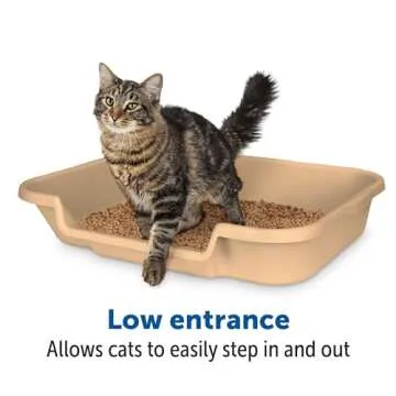 KittyGoHere Senior Cat Litter Box for Easy Access Comfort